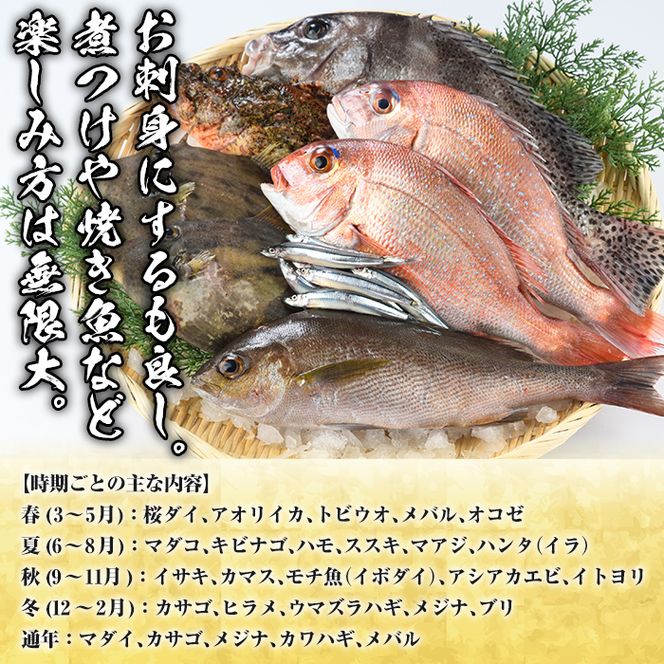 旬の天然鮮魚BOX(5～10kg) 国産 刺身 魚貝 魚介 鮮魚 海産物 天然物 煮つけ 焼き魚【さるがく水産】akn028-29