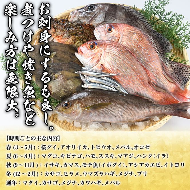 旬の天然鮮魚BOX(3～5kg) 国産 刺身 魚貝 魚介 鮮魚 海産物 天然物 煮つけ 焼き魚【さるがく水産】a-20-29