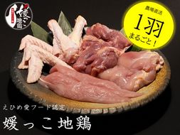 えひめ愛フード認定 「媛っこ地鶏」 1羽まるごと！　＜肉 お肉 鶏肉 とり肉モモ ムネ ササミ 内臓 手羽元 手羽先 もも むね 胸 ささみ＞ ※着日指定不可