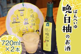 「はやし屋」の晩白柚のお酒 2本セット 熊本県氷川町産《30日以内に出荷予定(土日祝除く)》---sh_hayashisake_30d_23_13000_2p---