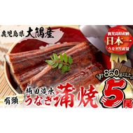 楠田の極うなぎ 蒲焼き 170g以上×5尾(計850g以上) c7-004