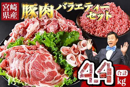 [宮崎県産豚肉 バラエティーセット4.4kg]翌月末迄に順次出荷[b0629_ty]