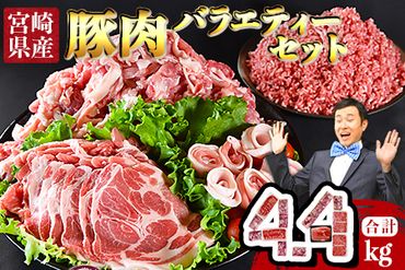 [宮崎県産豚肉 バラエティーセット4.4kg]翌月末迄に順次出荷[a0629_ty]