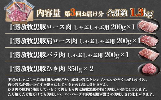 鹿追産自然放牧圧巻の黒豚 人気商品3ヶ月定期便 SKN014