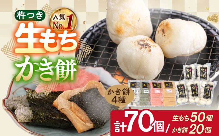 [順次発送]築上町産 本格 杵つき 生もち + かき餅 セット 5種類(9袋)[築上町][アルク農業サービス合同会社] 餅 お餅 もち [ABAB004]
