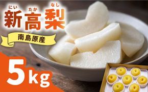 【2026年9月中旬～発送】【シャリッと食感がたまらない！】新高梨 5kg (玉数おまかせ) / 梨 南島原市 / ふるさと企画 [SBA012]