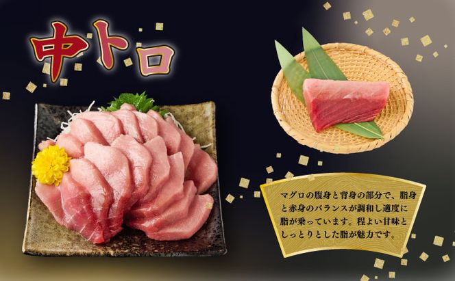 船元が直送! 厳選 天然 南マグロ 650g | 赤身 中トロ 大トロ セット ミナミマグロ鮪 南マグロ まぐろ 鮪 食べ比べ みなみまぐろ ワケアリ わけあり 訳あり 刺身 さしみ 刺し身 冷凍 漬け 海鮮 丼 父の日 高知県 室戸市