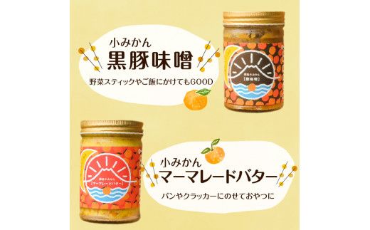 桜島小みかんの魔法シリーズ　K157-001