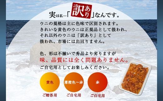 1259.訳あり うに チリ産 冷凍 200g ワケあり ウニ チリ産 冷凍 雲丹 不揃い B級品 うに わけ あり 海鮮 4人前 丼 刺身 自宅用 送料無料 北海道 弟子屈町