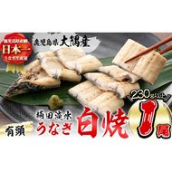 楠田の極うなぎ 白焼き1尾(230g以上) a3-185