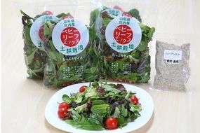 土耕栽培のベビーリーフミックス 10種(70g×4袋) と野菜用ハーブ塩セット