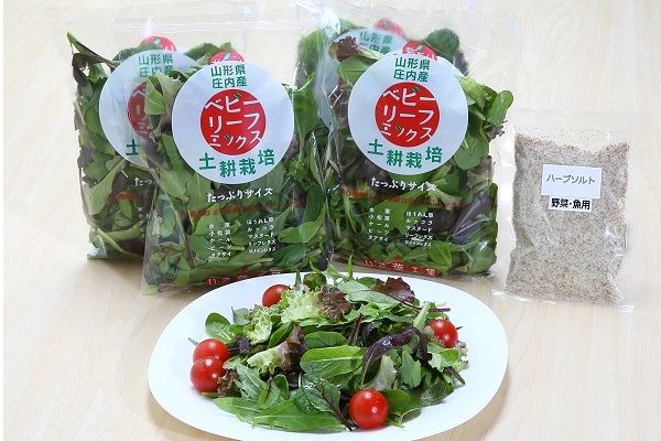 土耕栽培のベビーリーフと野菜用ハーブ塩セット