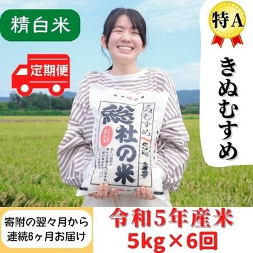 【令和5年産】特Aきぬむすめ【精白米】5kg岡山県総社市産〔6回定期便〕23-036-004