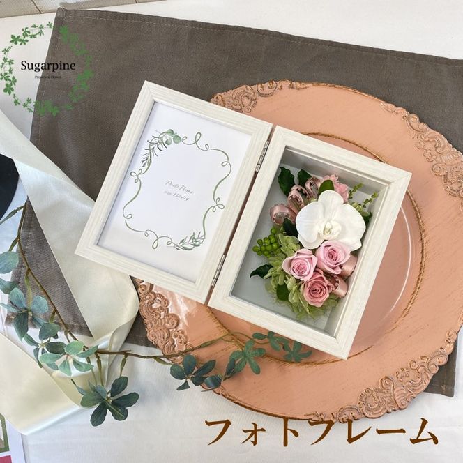 yʌtszAJ051-1 vU[uht[AWyvtHgEuJzts VK[pC