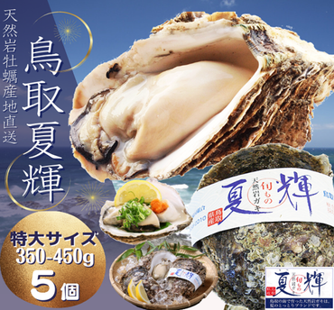 1306 天然岩牡蠣(活)夏輝 350g-450g前後(特大サイズ) 5個セット(いまる)