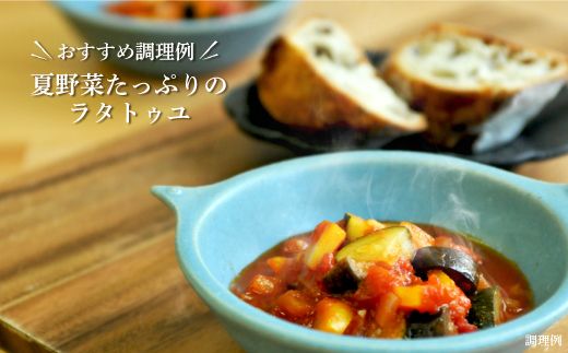 《令和8年分》数量限定！季節のお野菜詰め合わせ 夏(配送時期：7月～8月)【01017】