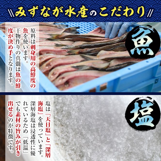 辛口えいひれ(計約500g・100g×5P)干物 おつまみ 珍味 魚 海産物 冷蔵【E-25】【水永水産】