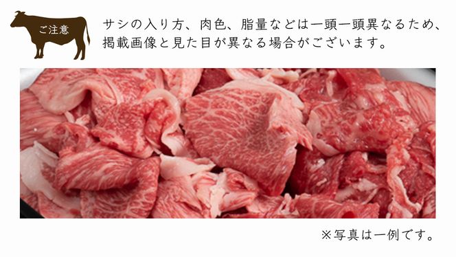 【常陸牛】切り落とし 1kg ( 茨城県共通返礼品 )  国産 切落し 焼肉 焼き肉 バーベキュー BBQ お肉 A4ランク A5ランク ブランド牛[BM003us]