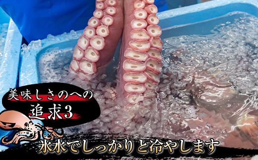【定期便4ヶ月】みなとのタコキムチ＜北海道釧路町 昆布森産タコ使用＞300g×2コ【 海鮮 蛸 北海道 釧路町 】　121-1260-21