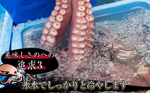 121-1260-17　【定期便5ヶ月】みなとのタコキムチ＜北海道釧路町 昆布森産タコ使用＞300g×1コ【 海鮮 蛸 北海道 釧路町 】