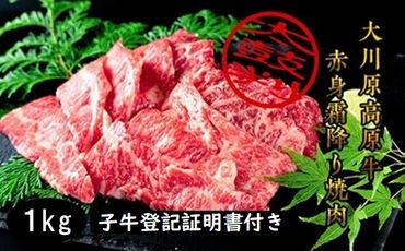 大川原高原牛  赤身・霜降り焼肉　1kg 　