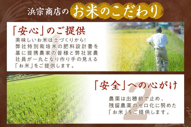 京都・丹後コシヒカリ 無洗米 5kg　米 お米 コシヒカリ ふるさと納税 無洗米 ふるさと納税 米 ふるさと納税 お米 ふるさと納税 コシヒカリ 農家応援 生産者応援 送料無料　HM00009