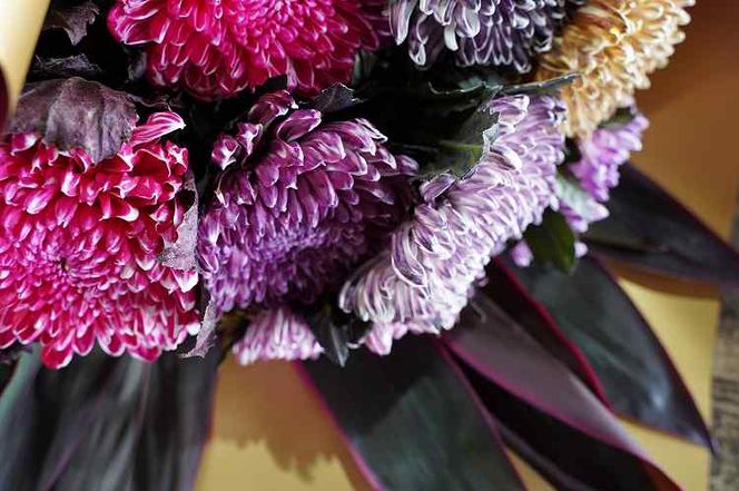 【おしゃれな染花】シックな色合いのカラーリングマムの花束 H092-056