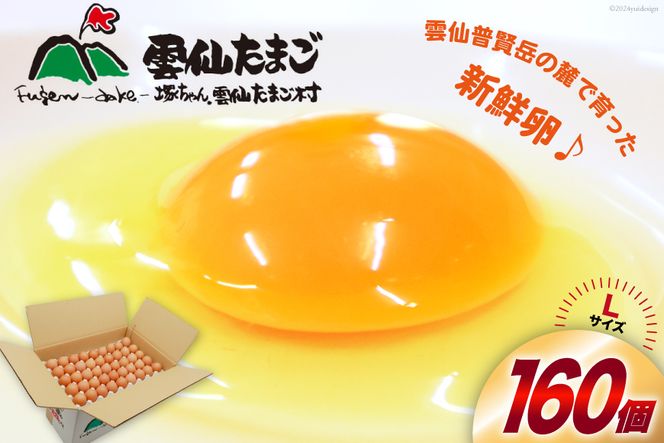 y茧szBI029 ǂI _傽܂LTCY 160(150{⏞10) [  ܂  { ԗ ʎq VN ˂_傽܂ 茧 s ]