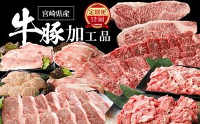  ＜12か月定期便 宮崎県産 牛・豚・加工品定期便！＞ K16_T005_1