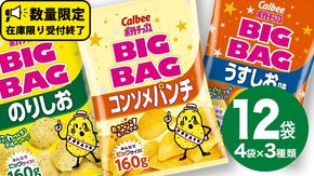 カルビー ポテトチップス BIGBAG 160g 3種 各4袋セット (計 12袋 ) うすしお ・ のりしお ・ コンソメパンチ ポテチ お菓子 おかし 大量 スナック おつまみ ジャガイモ じゃがいも まとめ買い 数量限定 [DA004us]