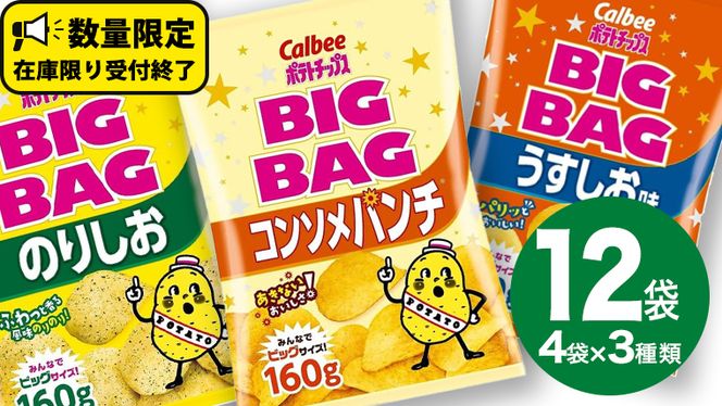 カルビー ポテトチップス BIGBAG 160g 3種 各4袋セット (計 12袋