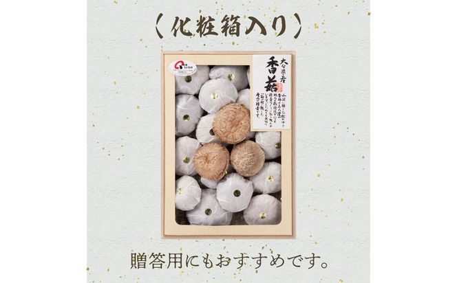 【F07020】大分県産椎茸　香菇　逸品　IP-B
