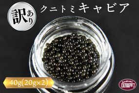 【訳あり】＜クニトミキャビア 40gセット(20g×2)＞翌月末迄に順次出荷【a0197_mc】