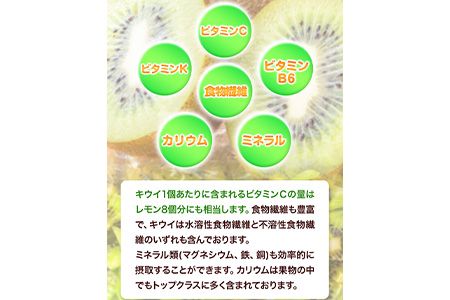 先行予約 和歌山県産 キウイフルーツ 約3.6kg 約20玉～36玉前後 前商店《2025年1月下旬-3月上旬頃出荷》キウイ キウイフルーツ フルーツ スイーツ 果物 送料無料---wsk_ucsbkui_l13_22_14000_20t---