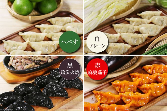 宮崎餃子 食べ比べセット 彩り餃子15×3 計45個 [餃子の里 宮崎県 日向市 452061115] 惣菜 餃子 ぎょうざ ギョウザ 専門店 食べ比べ 詰め合わせ セット 冷凍