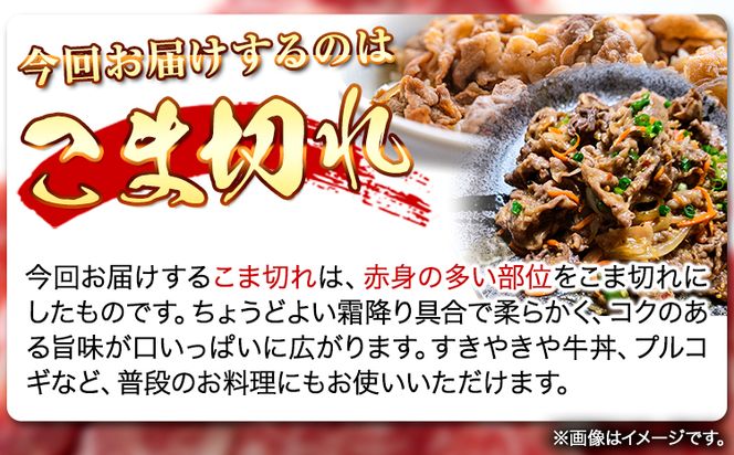 熊野牛 A4以上 霜降り 赤身 こま切れ 500g 株式会社魚鶴商店《30日以内に出荷予定(土日祝除く)》 和歌山県 日高町 熊野牛 黒毛和牛 A4等級以上 赤身 こま切れ---wsh_fuot11_30d_23_25000_500g---