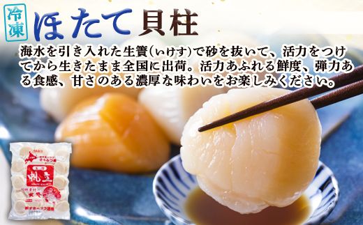 北隆丸　冷凍ほたてセット ほたて貝柱500ｇ（20～40玉）・ハーフボイルほたて500ｇ（15～17個）オホーツク産（ホタテ 冷凍 海鮮 大粒 北海道 オホーツク）【1602301】