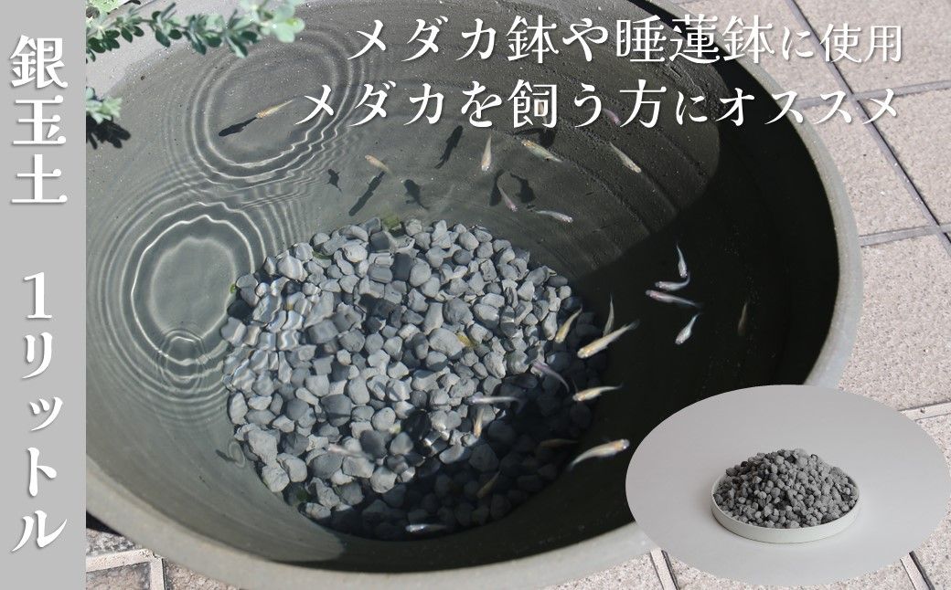 [バクテリアが多く住める多孔質ろ材] 銀玉土1リットル めだか鉢 金魚鉢 メダカ 鉢 陶器 睡蓮 多孔質土
