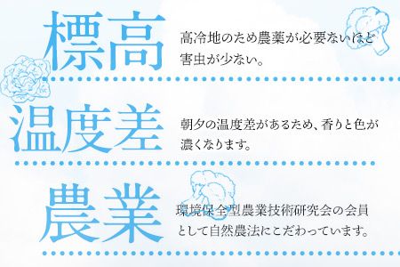 南阿蘇オーガニック 旬の野菜セット10種類以上詰め合わせ《30日以内に出荷予定(土日祝除く)》熊本県 南阿蘇村 野菜 カブ ビーツ サニーレタス クレソン ブロッコリー 水前寺菜 ほうれん草２種 チンゲン菜 春菊 スイスチャード---sms_cmoyasai_30d_r7_15000_10i---