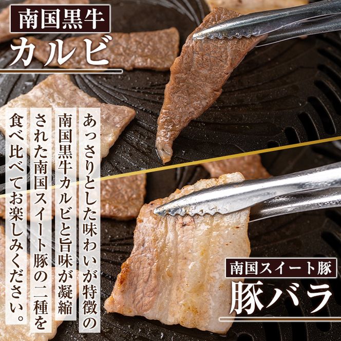 isa262 焼肉セット(計500g・南国黒牛250g/南国スイート豚250g) 【お肉の直売所 伊佐店】