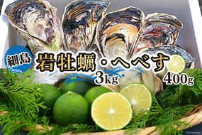 【期間限定発送】岩牡蠣 殻付き 細島 岩ガキ 約3kg 日向特産 へべす 400ｇ セット [道の駅日向 宮崎県 日向市 452060568] いわがき 岩がき 牡蠣 日豊海岸 濃厚 クリーミー