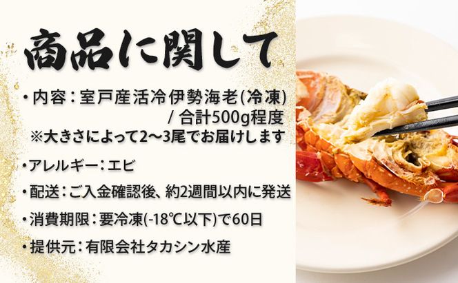 室戸産活冷伊勢海老【２～３尾】　tk009