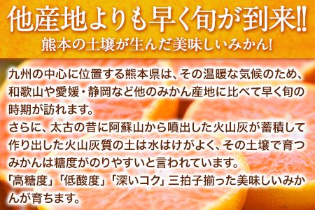 みかん 訳あり 大粒 ミカン 10kg 10キロ 熊本 ちょっと 訳あり 傷 5L～3Lサイズ 約10kg たっぷり 熊本県産 熊本県 期間限定 フルーツ 旬 柑橘 ご家庭用 長洲町 大粒《2025年1月中旬-2月末頃より出荷予定》---fn_notbmkn_bc1_25_13000_10kg---