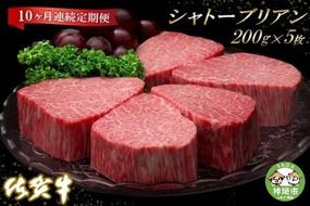 佐賀牛ヒレシャトーブリアン200g×5枚【10ヶ月連続定期便】 (H065141)