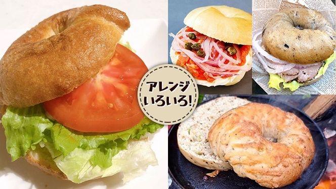 ベーグル 専門店 12個 おすすめ セット 定期便 パン 詰め合わせ 詰合せ 食べ比べ bagel 冷凍 食感 しっとり もっちり おしゃれ まとめ買い お取り寄せグルメ 頒布会 【 全3回 隔月定期便】《 種類おまかせ 》 [EA007us]
