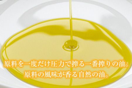 「堀内製油」の地あぶら（なたね油）455g×6本 【定期便】計2回 熊本県氷川町産《お申込み月翌月以降の出荷月から出荷開始》---sh_hra6tei_21_45000_ev6mo2num1---