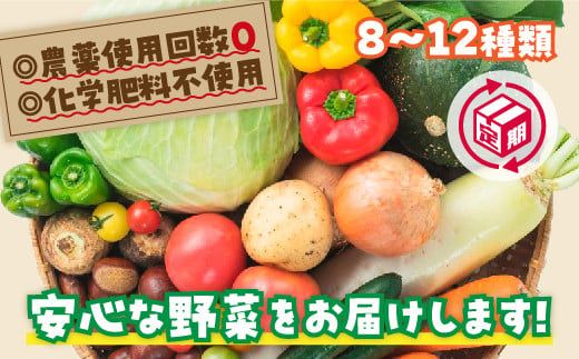 A034 安心お野菜定期便(12回コース)