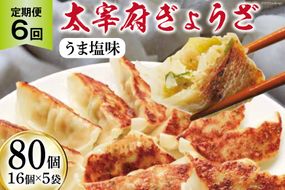 【6回 定期便 】 太宰府ぎょうざ《うま塩味》80個(16個×5袋)×6回 総計480個 / 太宰府ぎょうざ六九 / 福岡県 筑紫野市 [21760489] 餃子 ぎょうざ ギョウザ 冷凍 国産にんにく 国産豚肉 惣菜 手軽