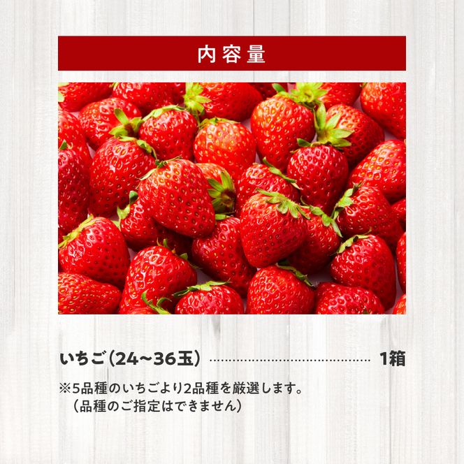 生いちご 厳選 2品種 食べ比べセット いちにのいちご園（1月から発送開始）1箱　N085-YA3318