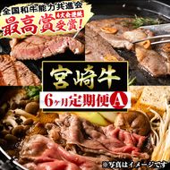 【定期便・全6回(連続)】宮崎牛定期便＜Aセット＞お楽しみ便 牛肉 国産 定期 ヒレ肉 モモ ウデ ロース バラ スライス 宮崎県産 黒毛和牛 小間切れ 焼肉 ステーキ しゃぶしゃぶ すき焼き【R-67】【株式会社ミヤチク】